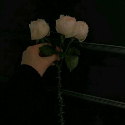 国台办回应绿营鼓动派军舰赴中东护航